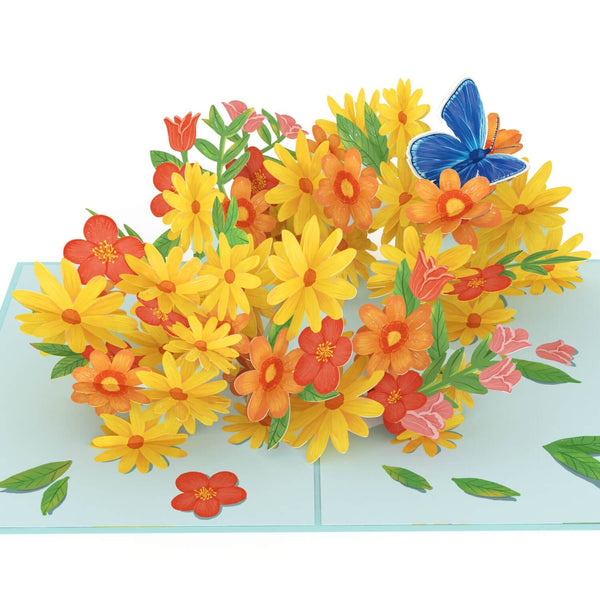 Carte pop-up Marguerites colorées avec papillons