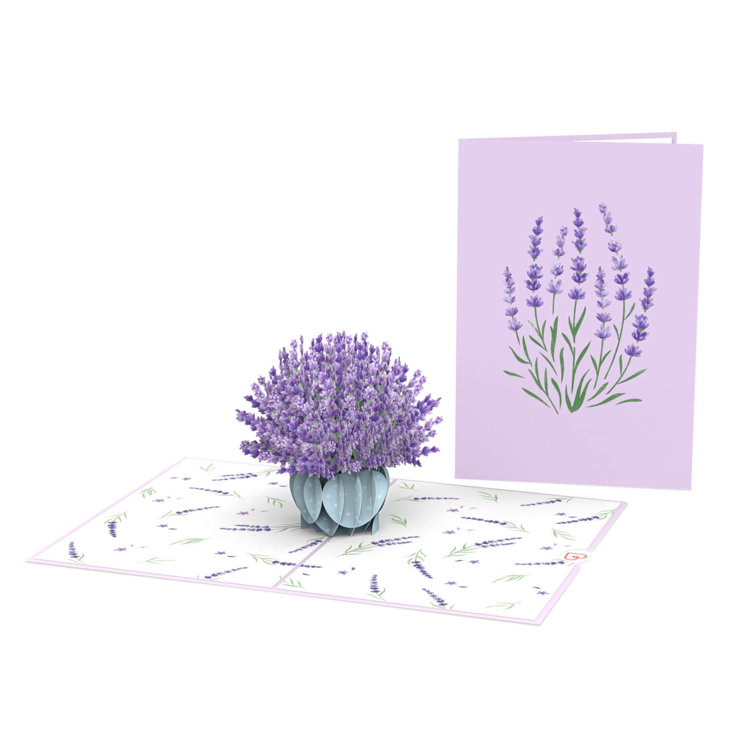 Carte pop-up lavande