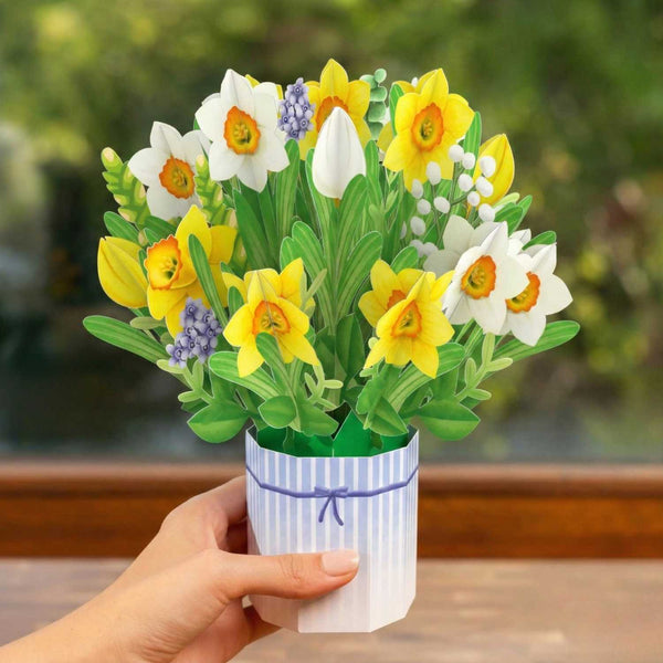 Osterglocken Pop-Up Blumenstrauß