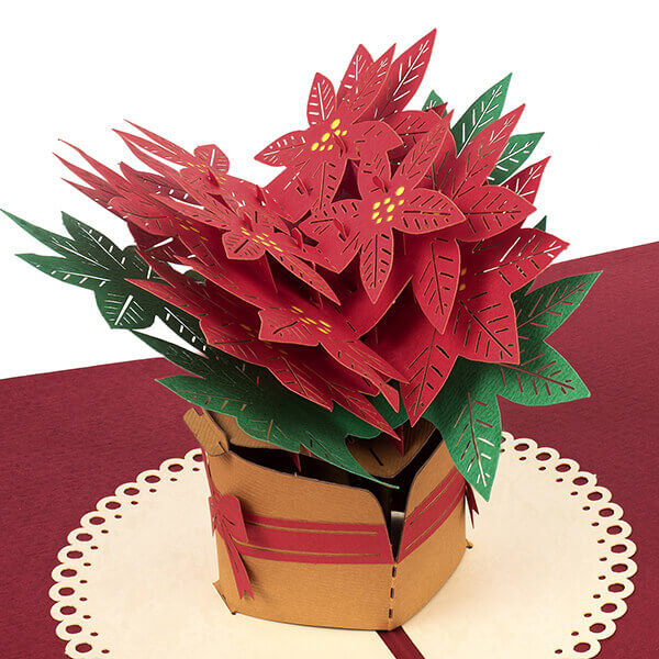 Carte pop-up Poinsettia